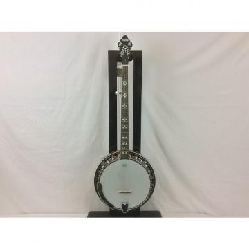 Custom Recording King Bluegrass Series RK-R20 Songster Banjo With Case