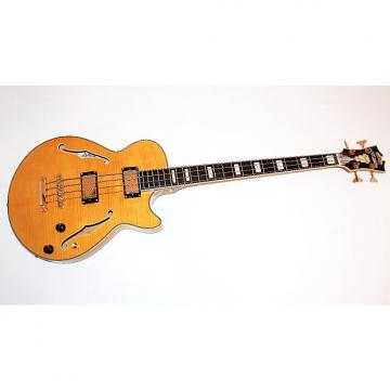 Custom D'Angelico EX Semi-Hollowbody 4 String Electric Bass Guitar w/ Case