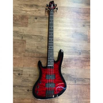 Custom Washburn XB120L Bass Guitar Lefty 4 String.