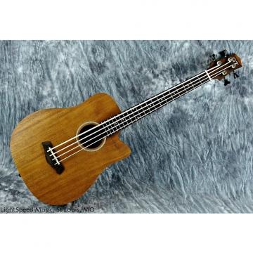 Custom Gold Tone Micro Bass M-Bass25 Fretted Mahogany Acoustic Electric Bass w/Gig Bag