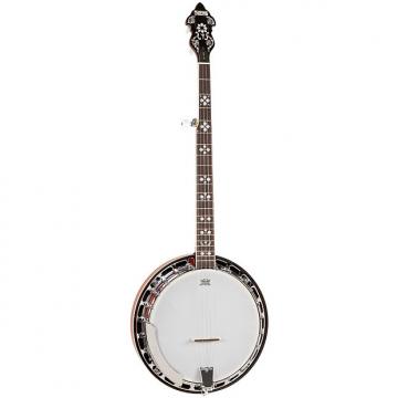 Custom Recording King Bluegrass Series Songster Banjo