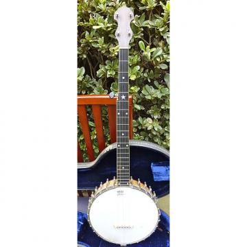 Custom Vintage Vega Regent 5 string banjo 1923 - All Original, Wonderful Tone At A Great Price