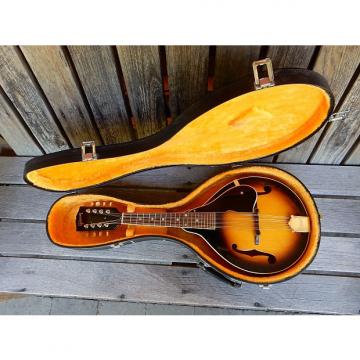 Custom Gibson  Mandolin A50 Brown Sunburst (Late 1950's)