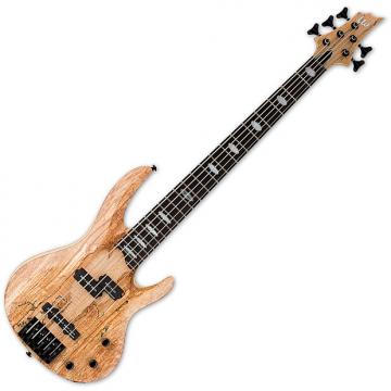 Custom ESP LTD RB-1005SM 5 String Electric Bass Natural Satin