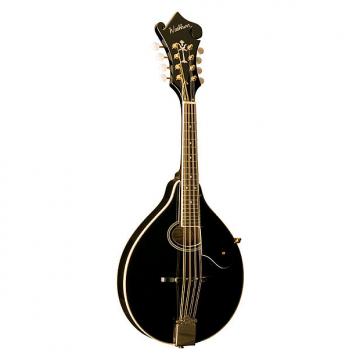 Custom Washburn Fw-A Style Mandolin Black