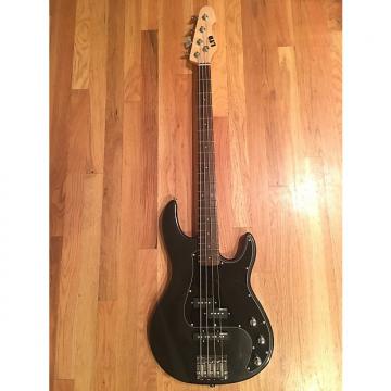 Custom ESP LTD AP-204  Bass (2016)