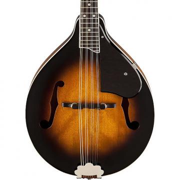 Custom Gretsch G9311 New Yorker Supreme A/E Mandolin
