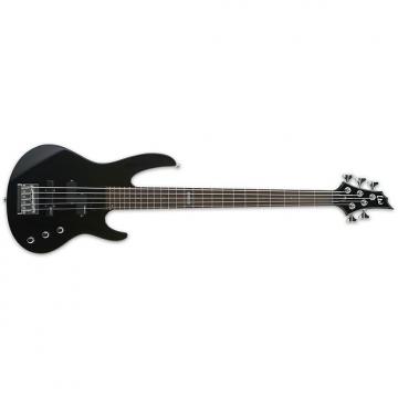 Custom ESP Ltd B-55 5-string Electric Bass, Black