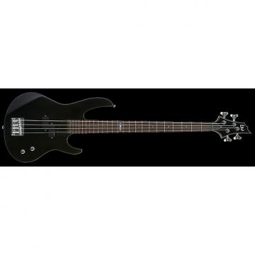 Custom LTD B-10 KIT BLK B Series Bass Guitar Bass Kit with Bag Maple Neck with Rosewood Fingerboard Black F