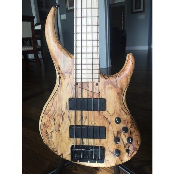 Custom MTD 535-24 5 String Bass