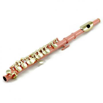 Custom SKY Band Approved Pink Plated with Gold Keys Piccolo Key of C with Hard Case, Cloth, Cleaning Rod