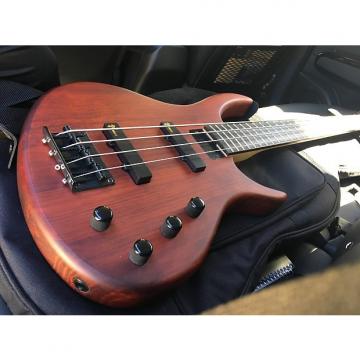 Custom 4 String Bass w Amp and Accessories