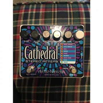 Custom electro harmonix  cathedral stereo reverb