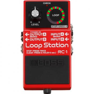 Custom BOSS RC-1 Loop Station Pedal