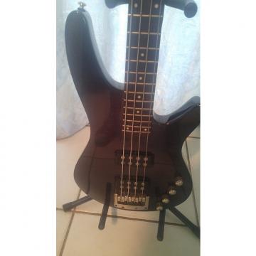 Custom Ibanez SRX500 4 String Bass