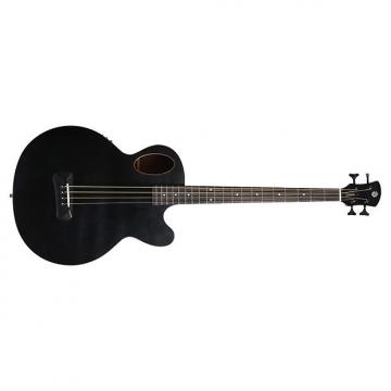 Custom NEW! Spector Timbre acoustic electric bass guitar in black with gigbag