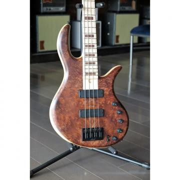 Custom Elrick  Gold Series-2017 NAMM Show Bass