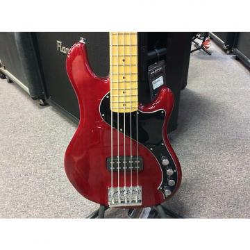 Custom Squier Dimension 5 String Bass