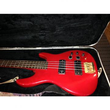 Custom Peavey Dyna Bass (RED)