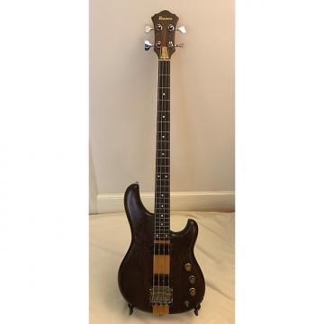 Custom Ibanez Musician Bass MC-824 1979 Brown Natural