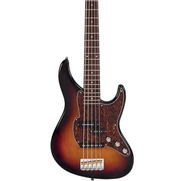 Custom Fret King Perception 5-String Bass Original Classic Burst
