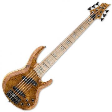 Custom ESP LTD RB-1006BM HN Electric Bass Guitar in Honey Natural Finish B-Stock
