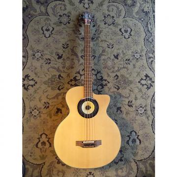 Custom Icoustic  Acoustic Electric Bass w/Hardshell Case 2000s Natural