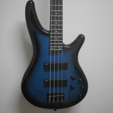 Custom Ibanez SR250 Electric Bass Guitar 2016