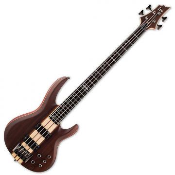 Custom ESP LTD B-4E Bass in Natural Stain