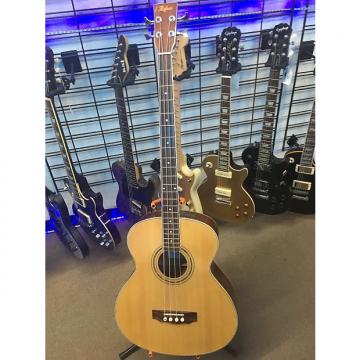 Custom Hofner HAB01E Acoustic Electric Bass Guitar