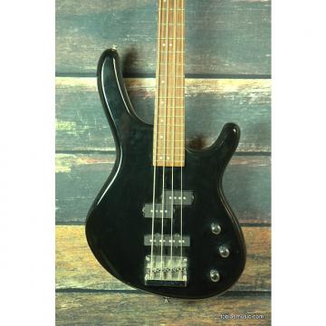 Custom Cort Action Bass