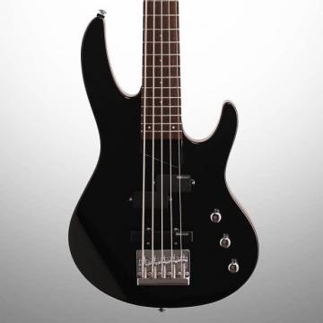 Custom ESP LTD B-55 5-String Electric Bass
