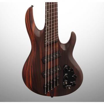 Custom ESP LTD B-1005SE MS Multi Scale Electric Bass, 5-String, Swamp Ash