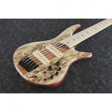 Custom Ibanez SR5SMLTD Spalted Maple Limited Edition 5 String Bass