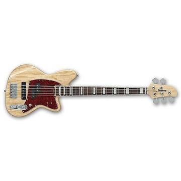 Custom Ibanez Talman TMB605 5-String Electric Bass Guitar