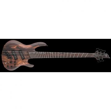 Custom ESP LTD B-1005SE Multi-Scale 5-String Swamp Ash Body Electric Bass Natural Satin