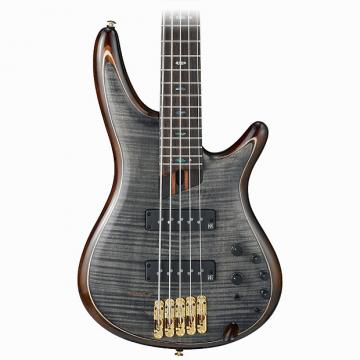 Custom Ibanez SR1405E 5-String Electric Bass - Transparent Gray Black