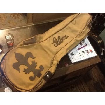Custom Covercraft Banjo Case Cover  Canvas And Leather