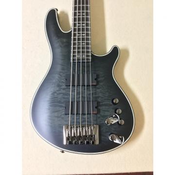 Custom Schecter Hellraiser Extreme 5 String Bass 1918