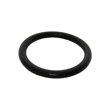 Custom Idiopan 4-Inch Display Ring - Black