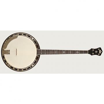 Custom Recording King Madison Tenor Resonator Banjo
