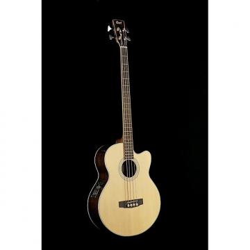 Custom Cort SJB6 Acoustic Bass
