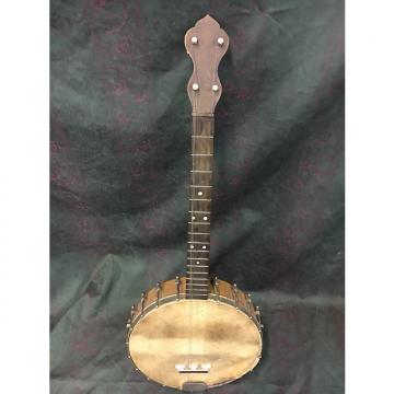 Custom Sterling Audio Tenor Banjo vintage