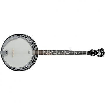 Custom Ibanez B-300 5-String Banjo