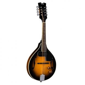 Custom Dean Tennessee Acoustic Electric Magnetic/Piezo Mandolin Sunburst (Floor Model)