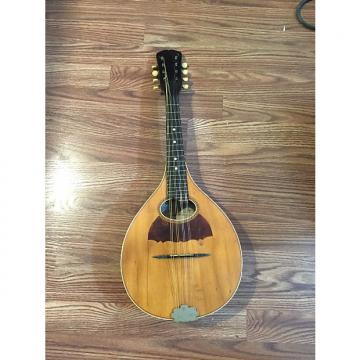 Custom The  Bradberry   A style mandolin  vega made  1930s  With original canvas  case