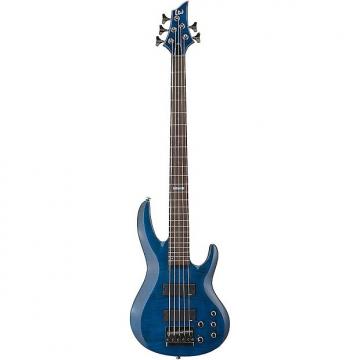 Custom ESP LTD B-155DX 5-String Electric Bass