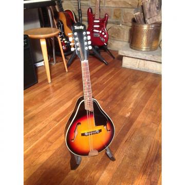 Custom Bently B405 mandolin