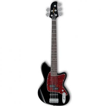 Custom Ibanez TMB105 Black 5-String Talman Bass Guitar