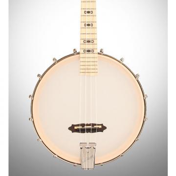 Custom Deering Goodtime Banjo Ukulele